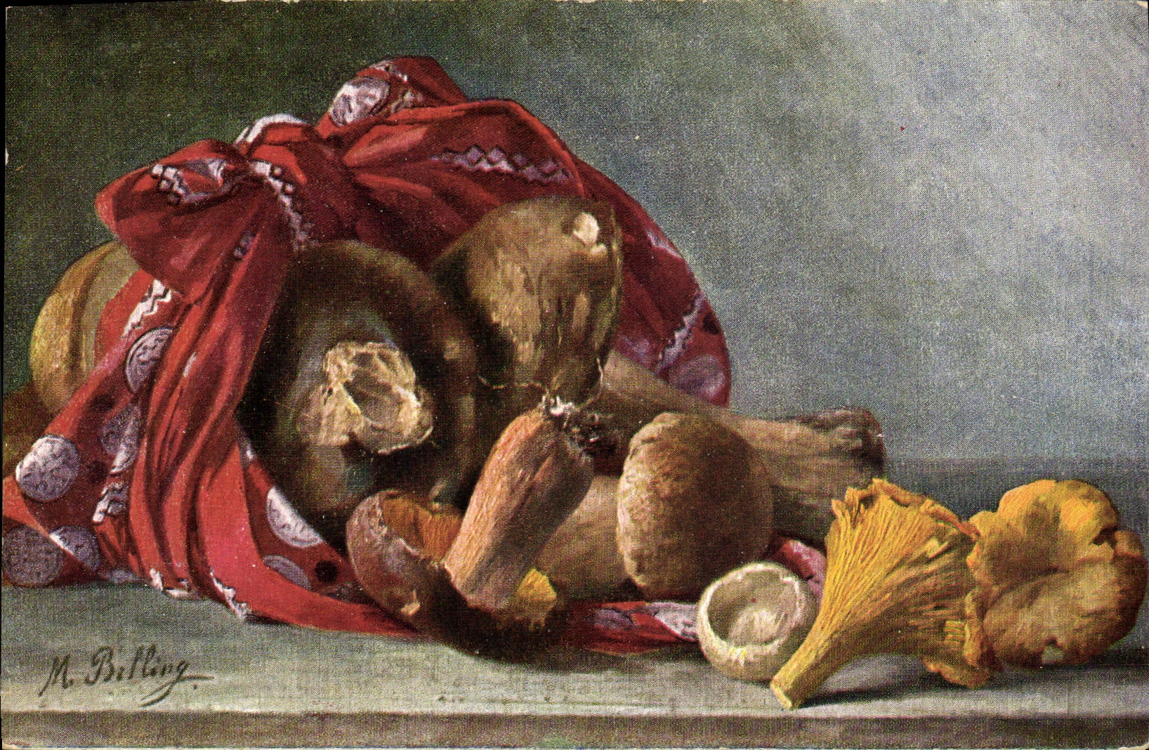 Postal Fantasia Natural muerto Setas Seta