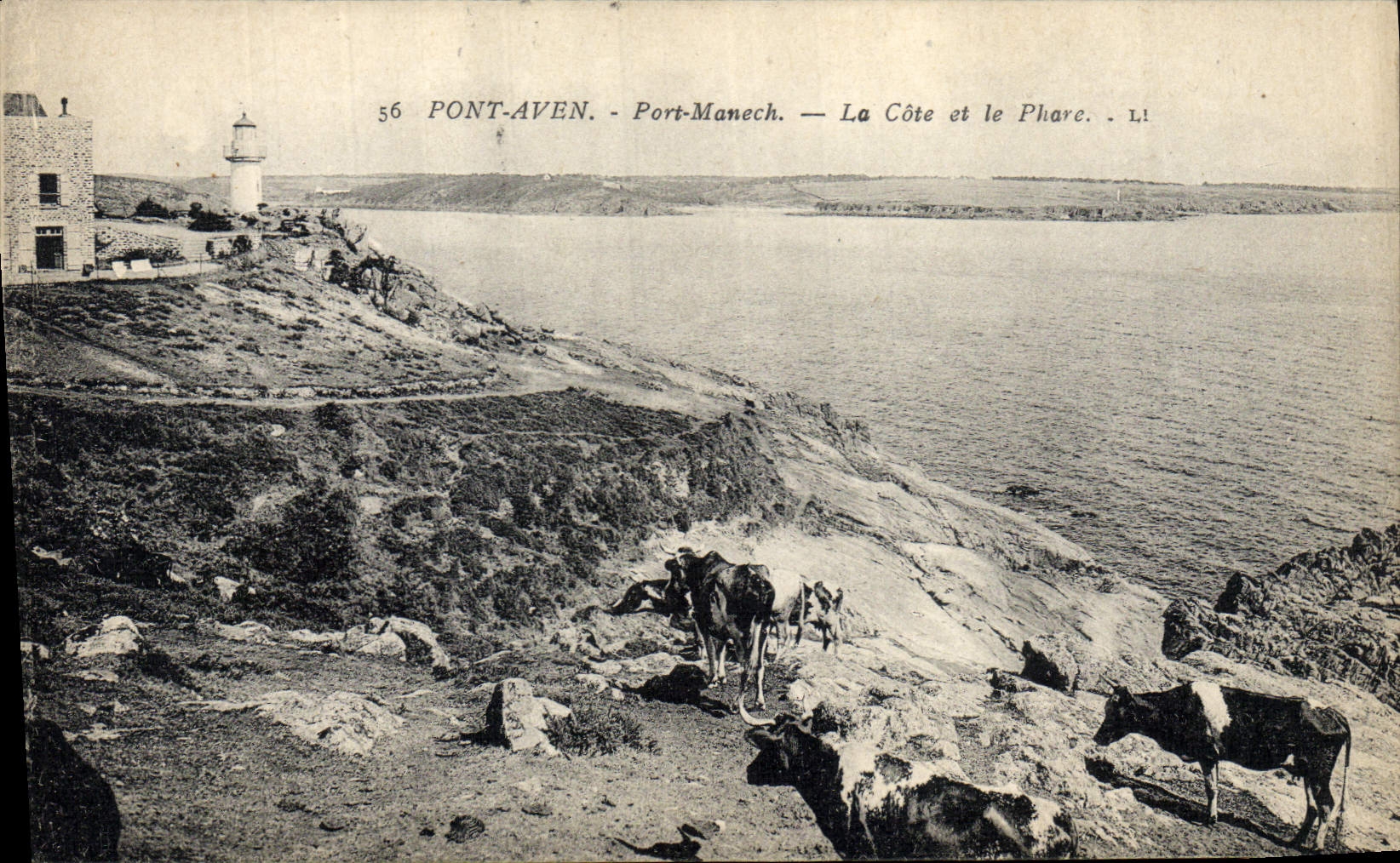 Vintage Postcard Headlight Bridge Swallow-hole Manech Port the Dimension and the headlight Cow