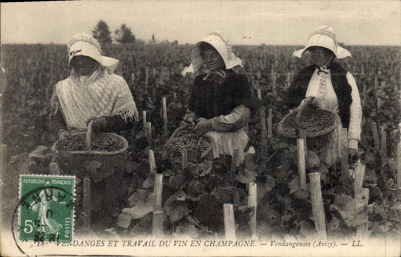 Postal Folclore Vendimias y trabajo del vino en Champaña Vendimiadoras Avize CUMBRE
