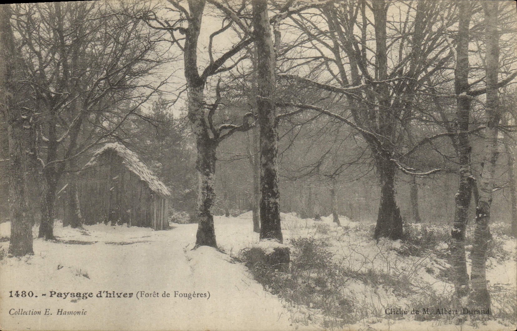 CPA Arbre Paysage d'hiver Foret de Fougeres