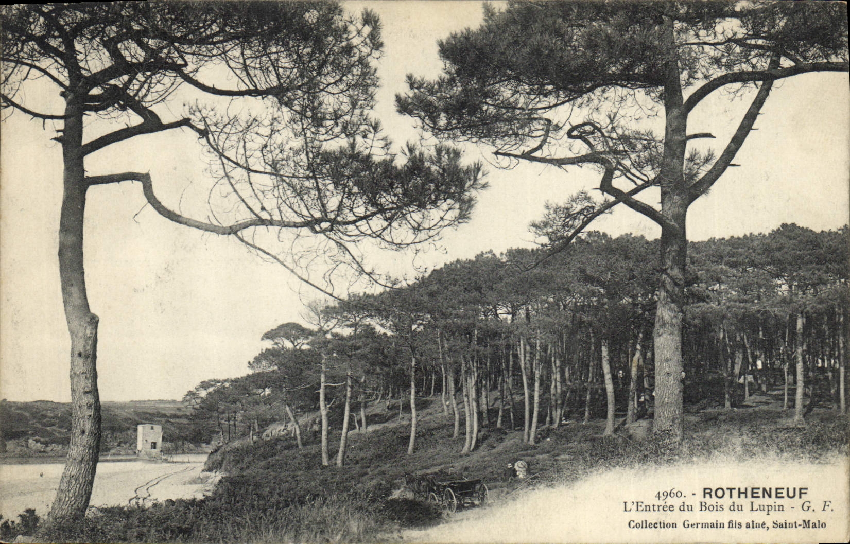 CPA Arbre Rotheneuf L'entree du bois du Lupin