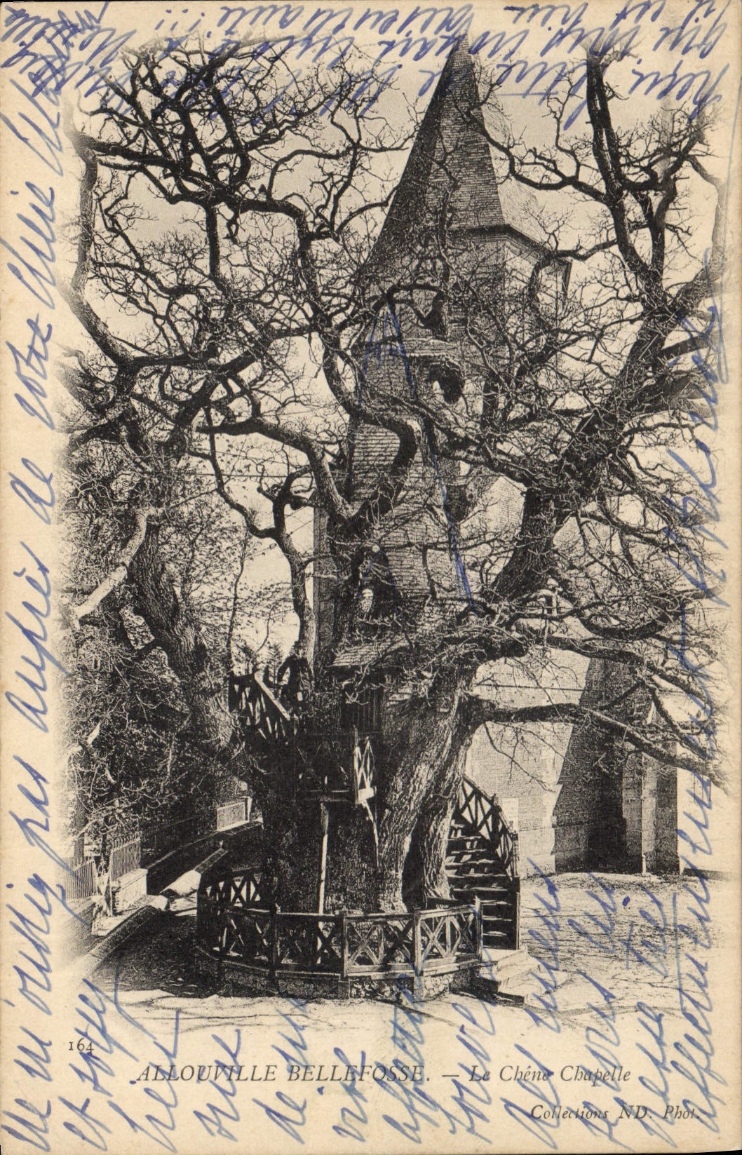CPA Arbre Allouville Bellefosse le chene chapelle
