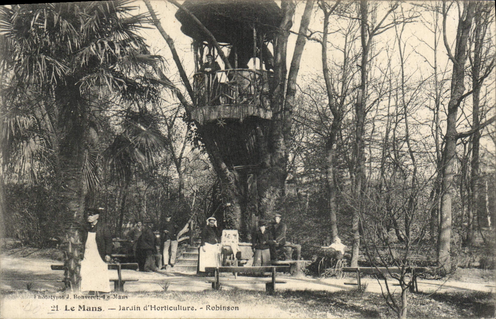 CPA Arbre Le Mans Jardin d'horticulture Robinson