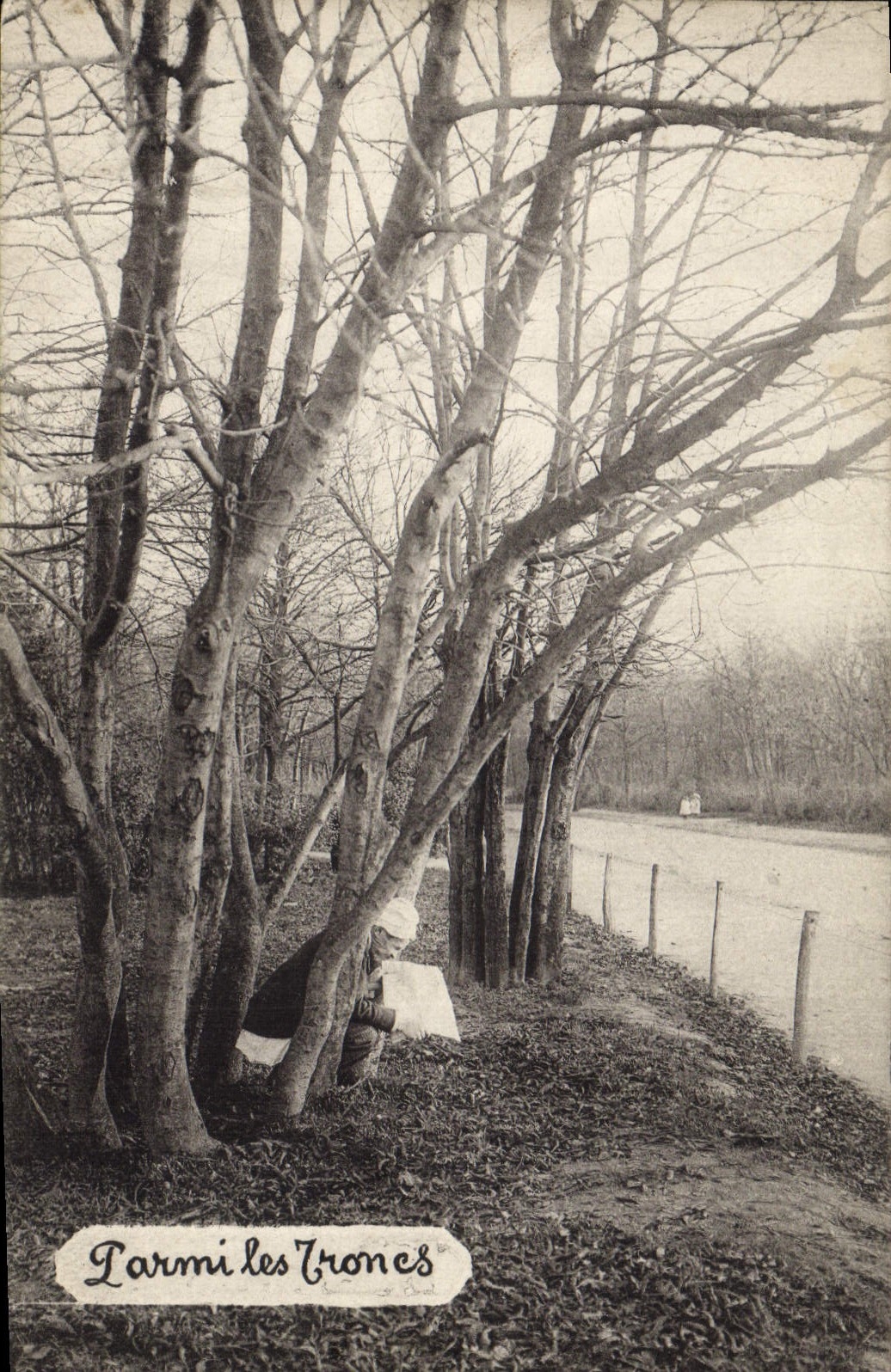 CPA Arbre Parmi les troncs