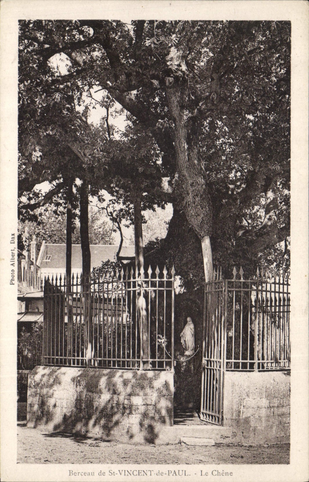 CPA Arbre Berceau de St Vincent de Paul Le chene