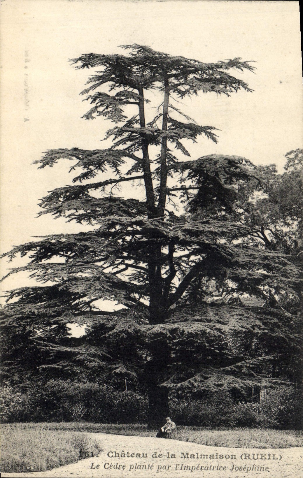 CPA Arbre Chateau de la Malmaison Rueil Le chene plante par l'imperatrice 