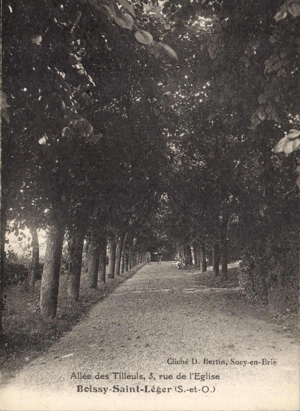 CPA Arbre Allee des Tilleuls Rue de l'eglise Boissy Saint Leger
