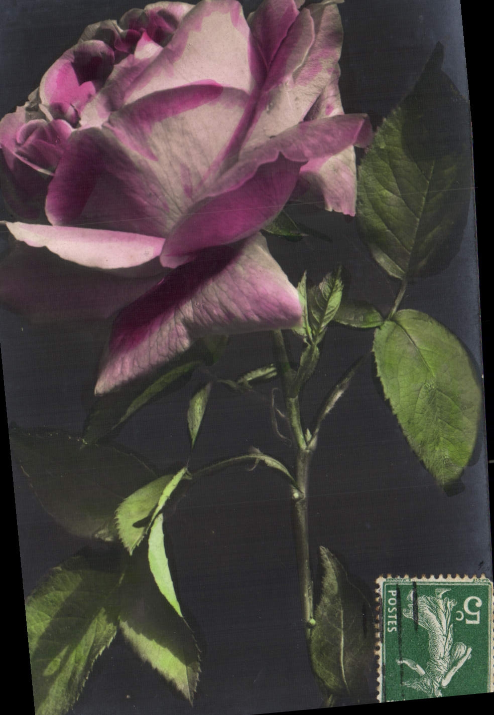 CPA Fantaisie Fleurs 