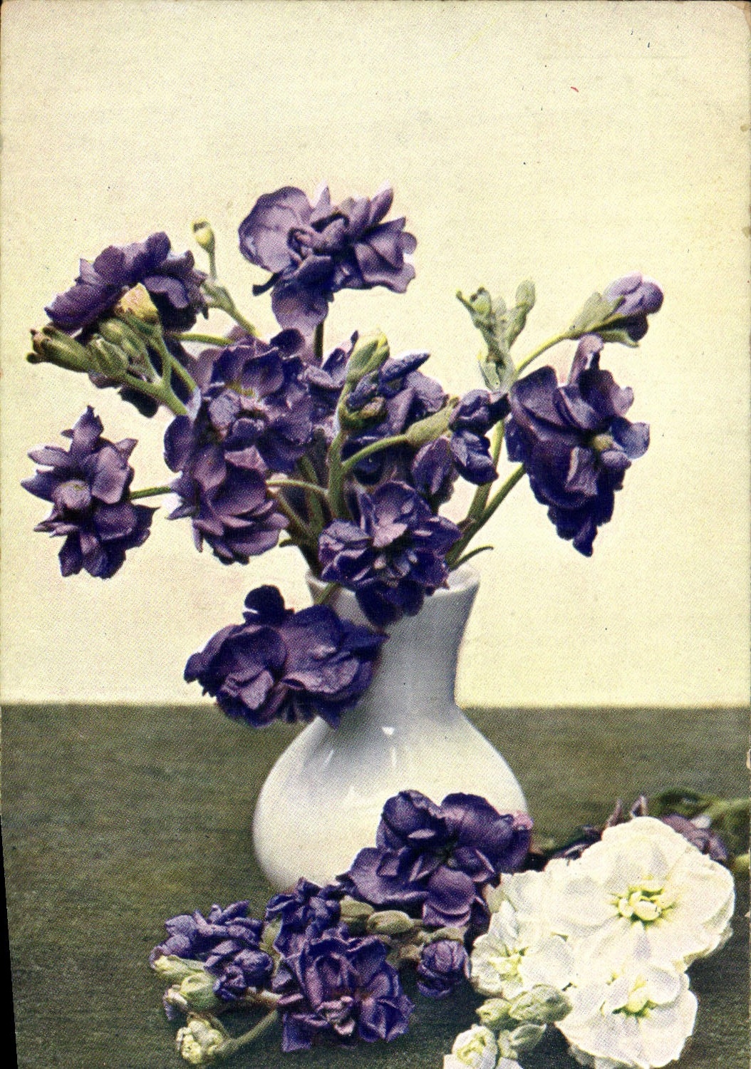 CPA Fantaisie Fleurs 