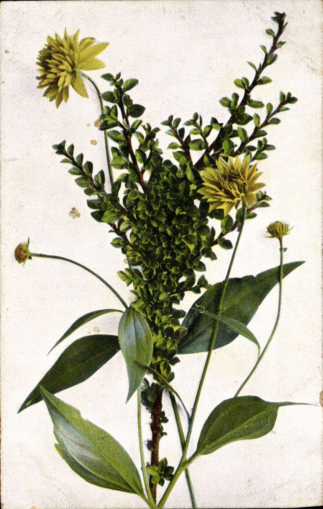 CPA Fantaisie Fleurs 