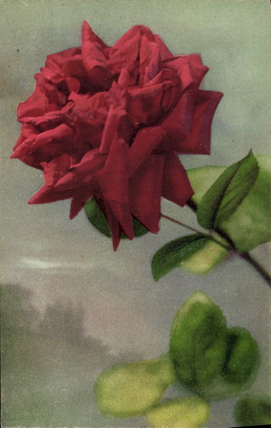 CPA Fantaisie Fleurs 