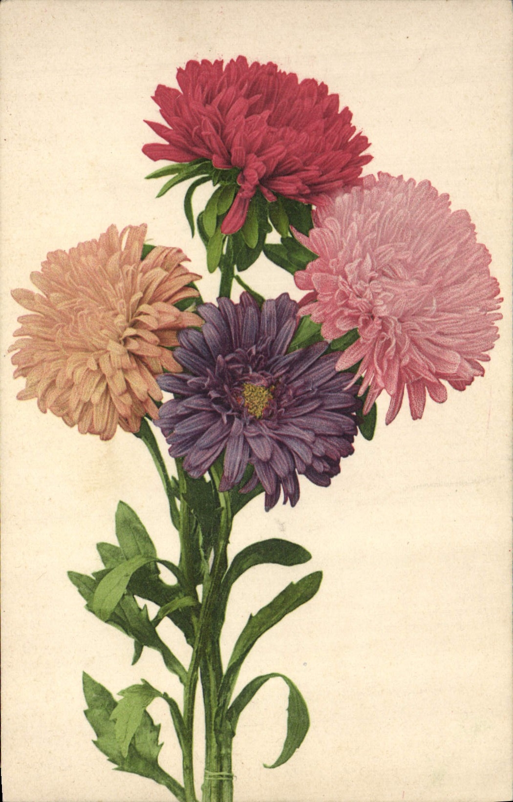 CPA Fantaisie Fleurs 