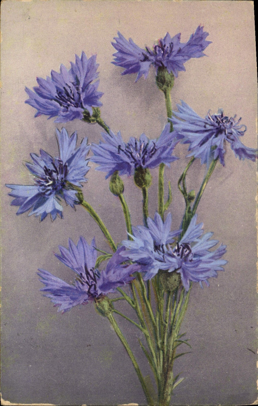 CPA Fantaisie Fleurs 