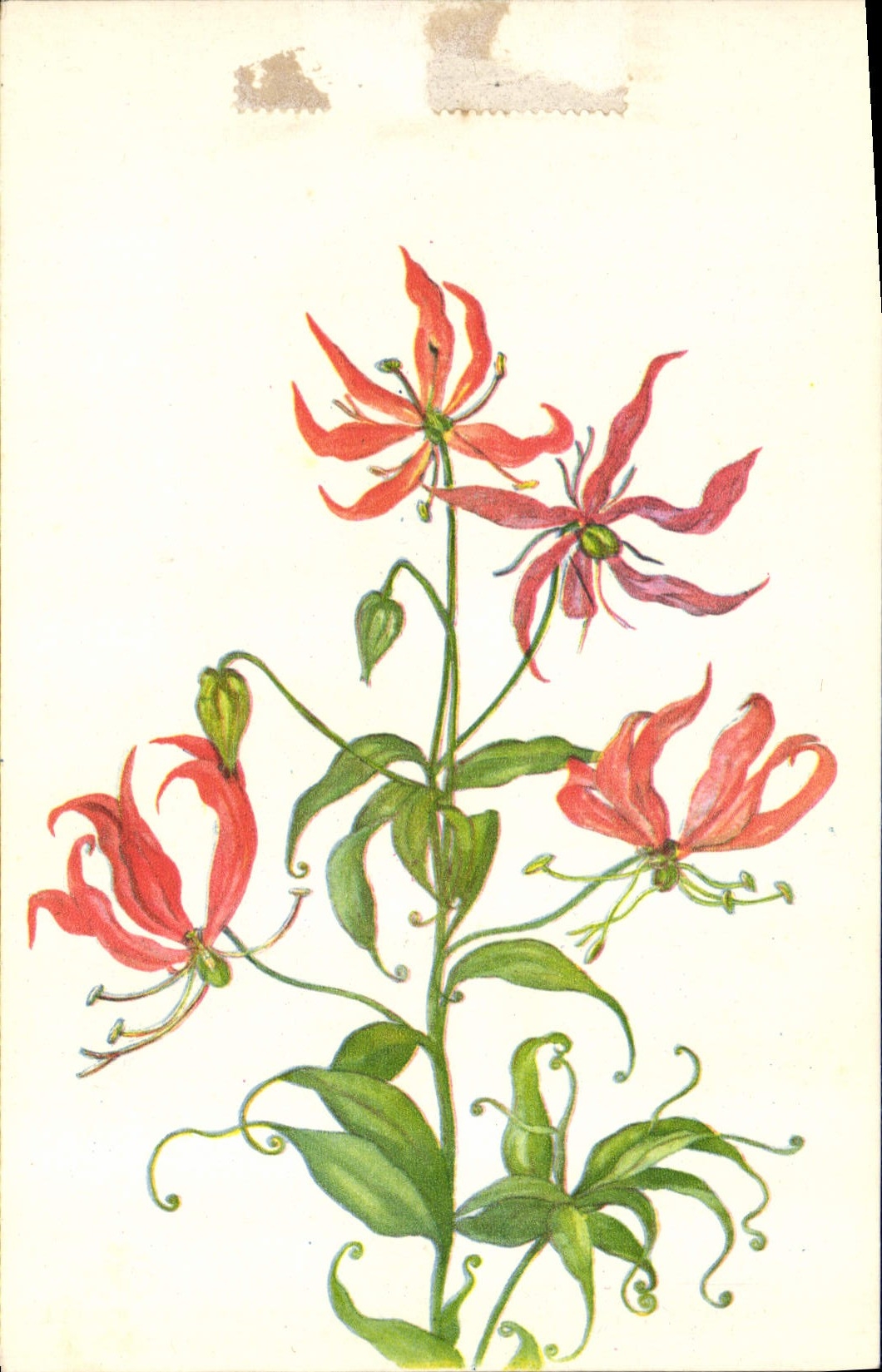 CPA Fantaisie Fleurs 