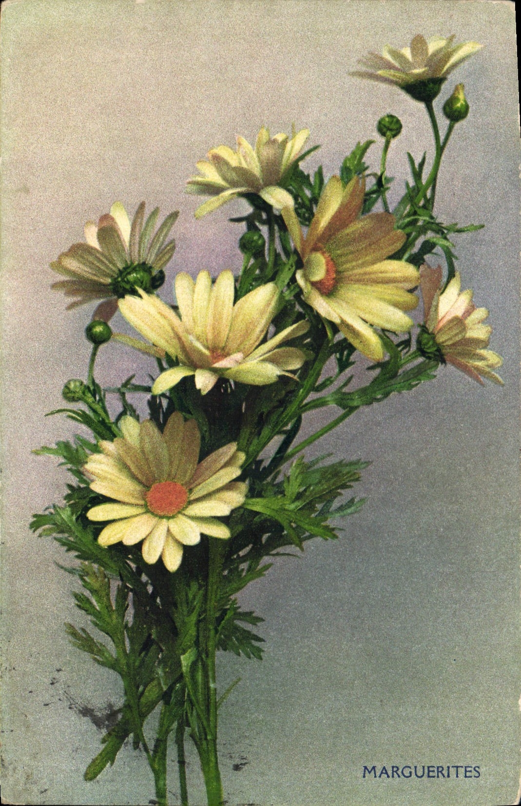 CPA Fantaisie Fleurs Marguerites