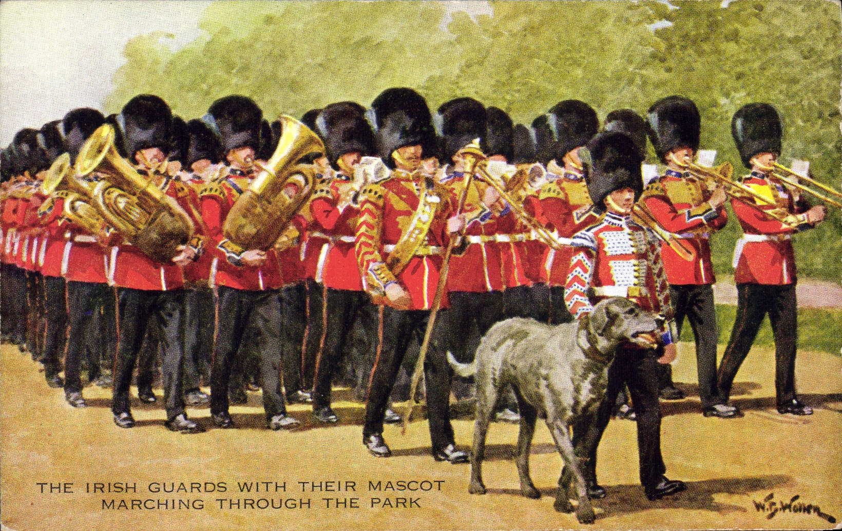 Vintage Postcard Militaria The Irish guards with to their mascot Dog