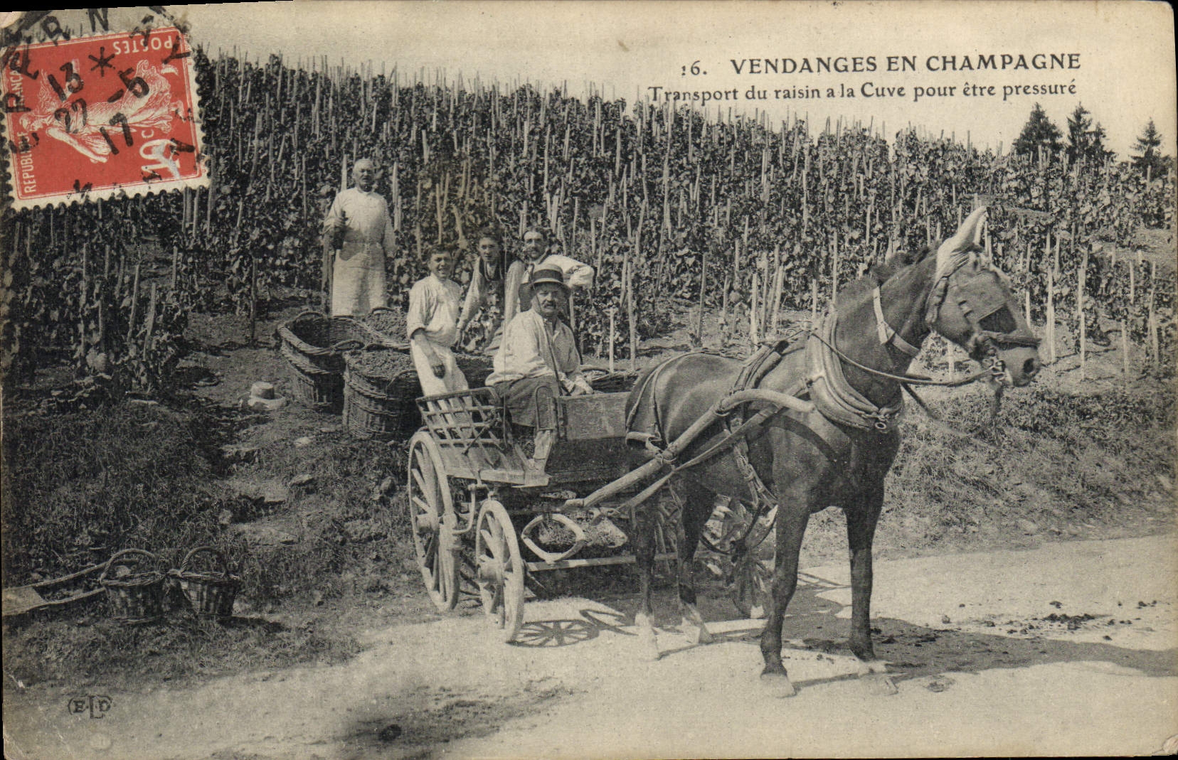 CPA Folklore Vigne Vendanges Champagne Transport du raisin a la cuve apres etre pressure TOP