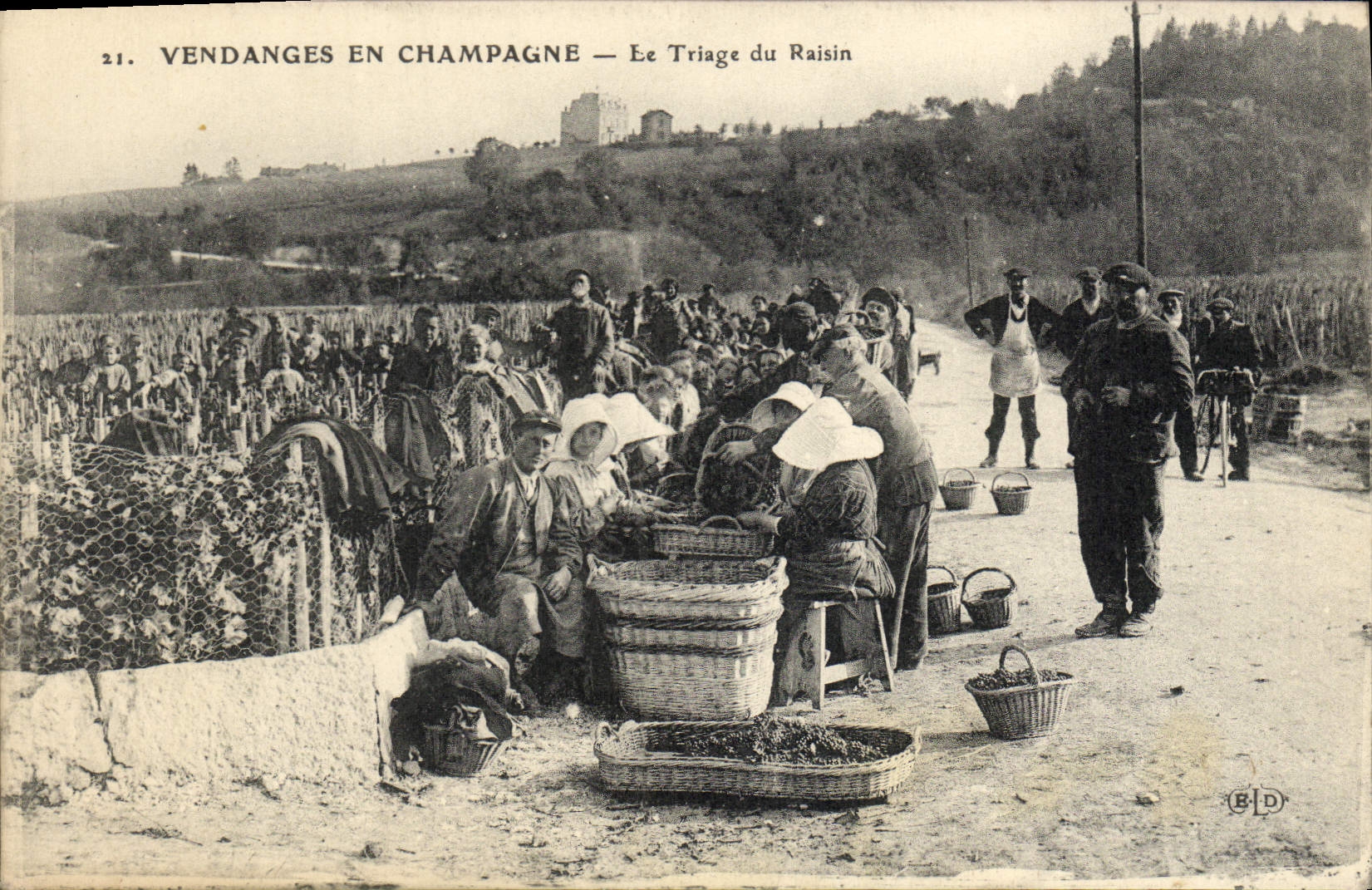 Postal Folclore Vid Vendimias Champaña la selección de la uva CUMBRE