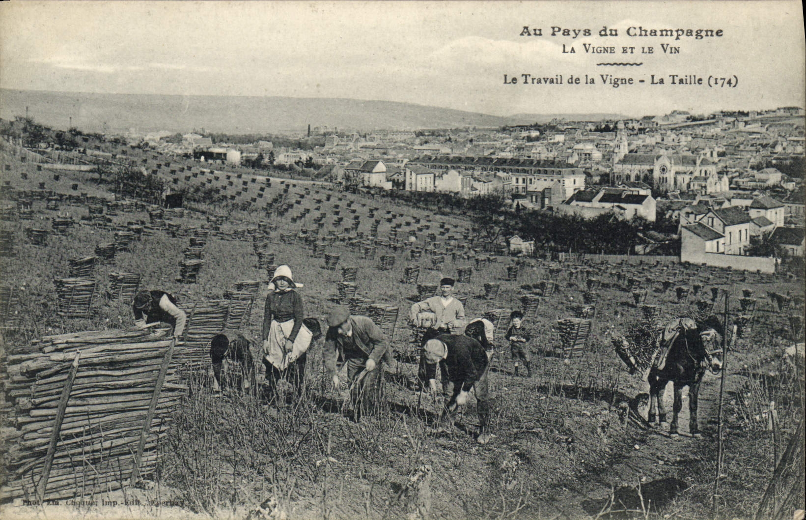 Postal Folclore Vid Vendimias Champaña el trabajo de la vid el tamaño CUMBRE