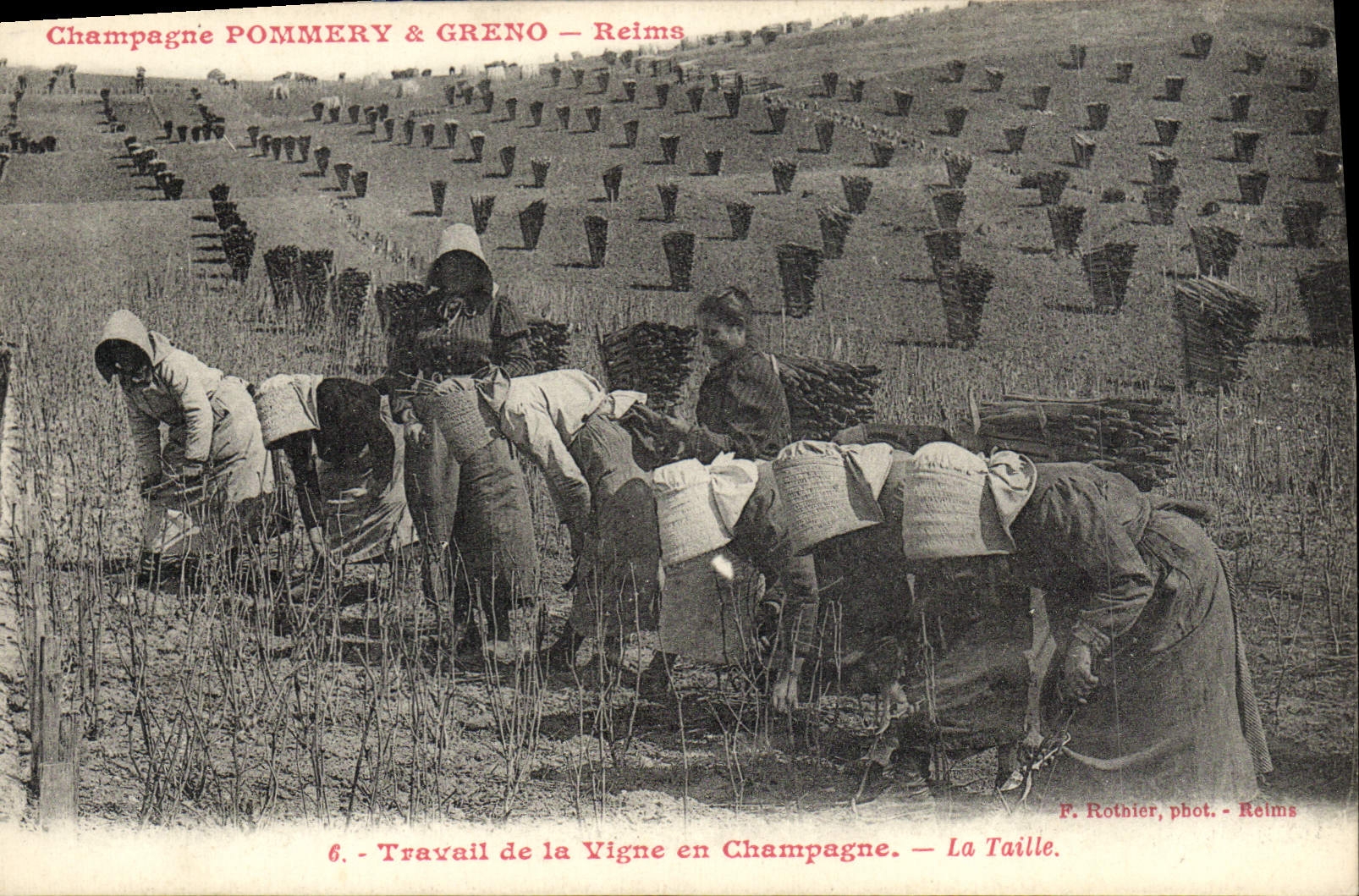 Postal Folclore Vid Vendimias Champaña ¨Pommery y Greno Reims Trabajo de la vid el tamaño CUMBRE