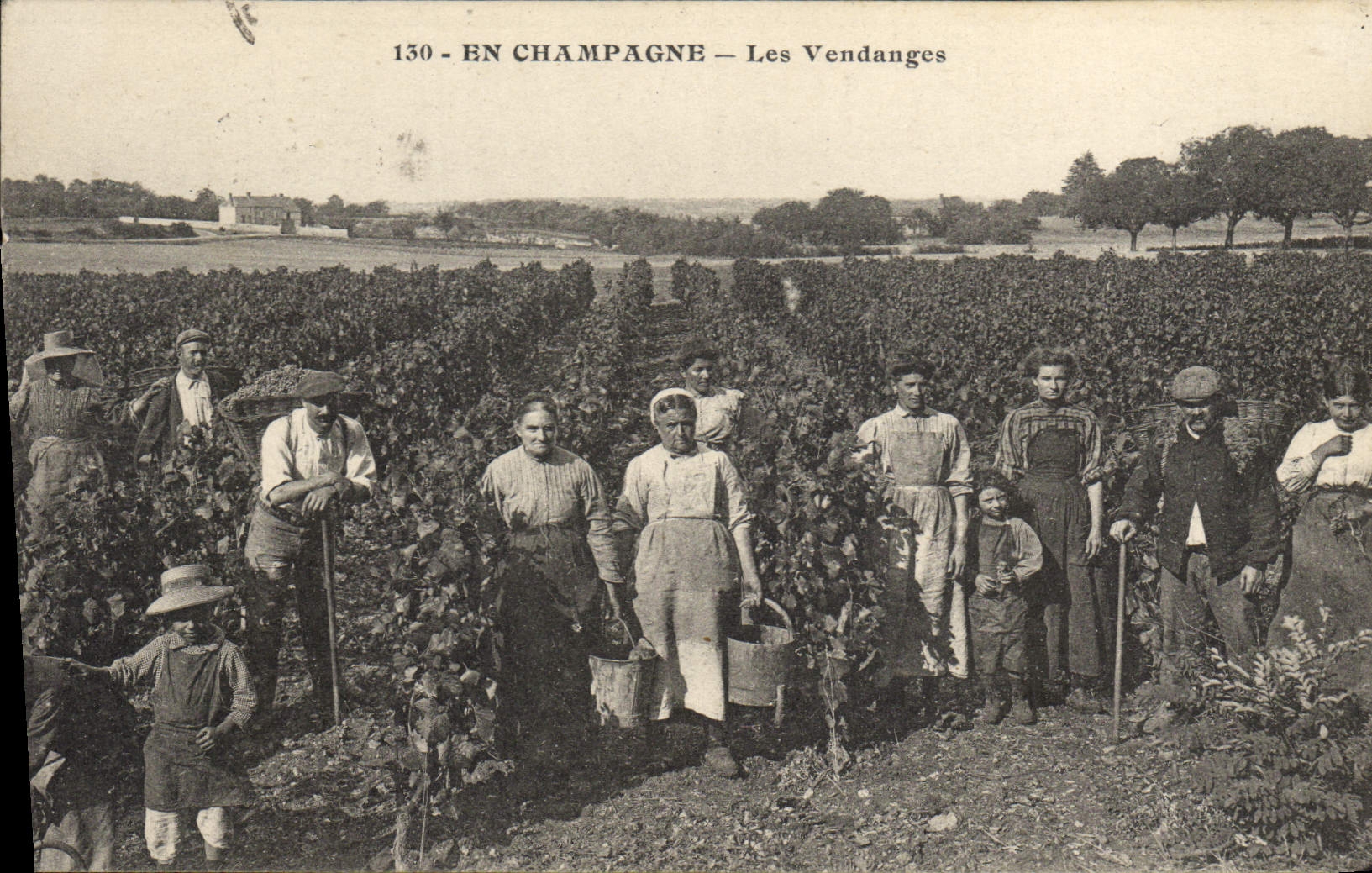 CPA Folklore Vigne Vendanges Champagne TOP