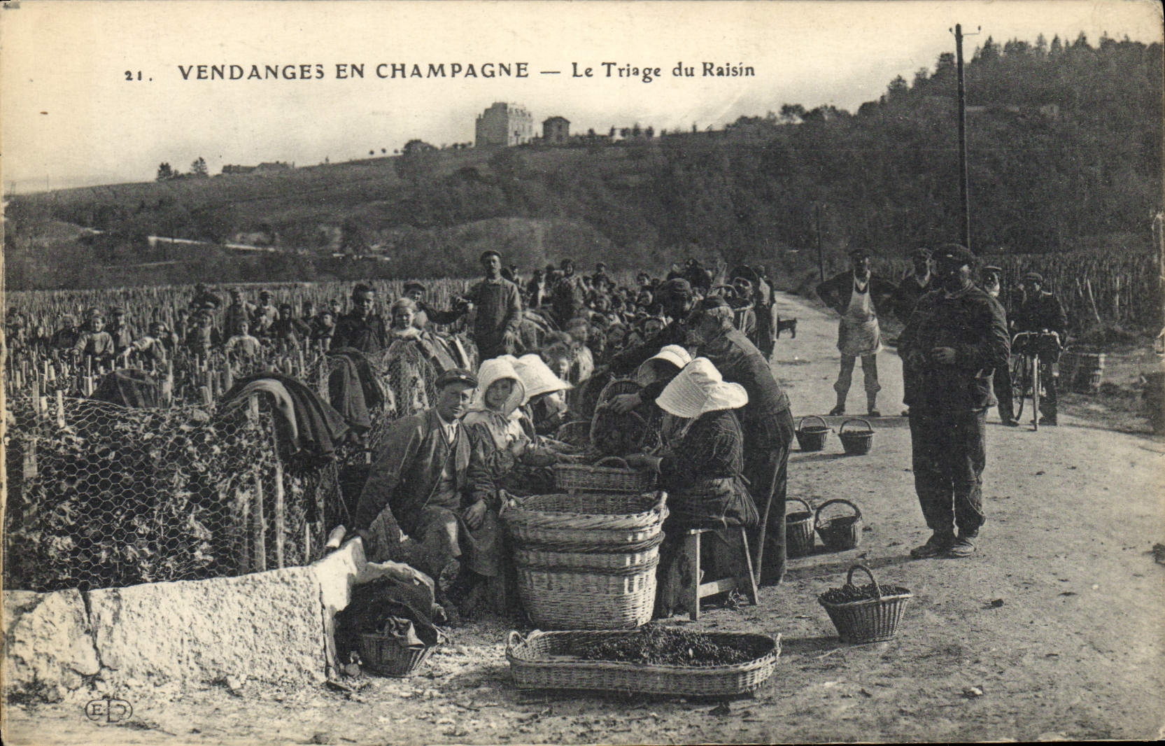 CPA Folklore Vigne Vendanges Champagne Le tirage du raisin TOP