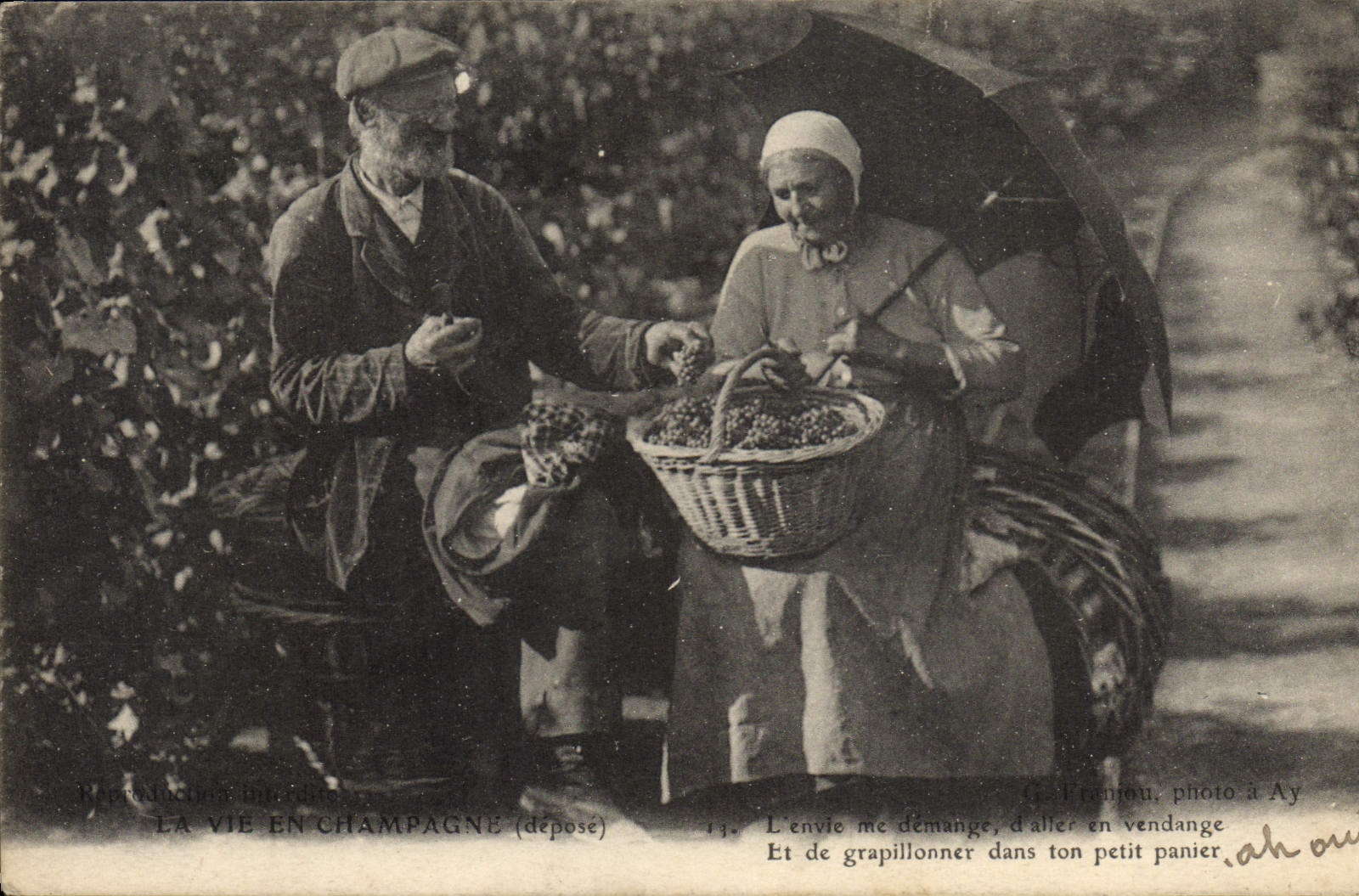 CPA Folklore Vigne Vendanges Champagne Vieux couple