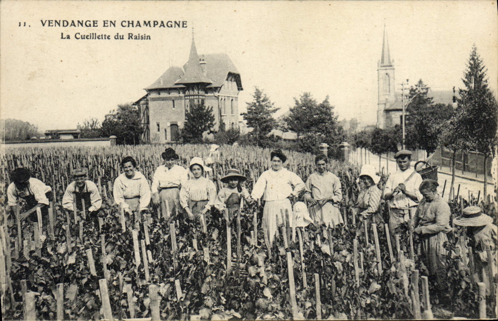 CPA Folklore Vigne Vendanges Champagne La cueillette du raisin