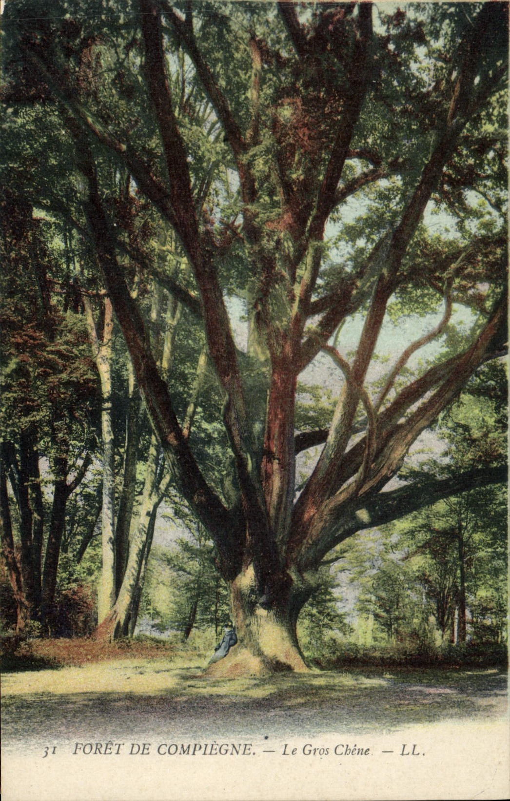 CPA Arbre Foret de Compiegne Le gros chene