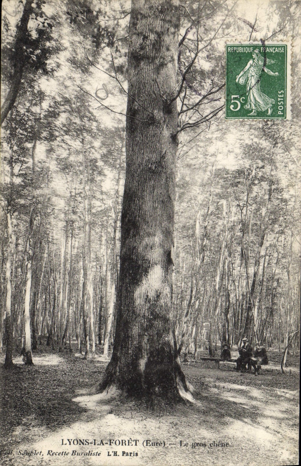 CPA Arbre Lyons la Foret Le gros chene