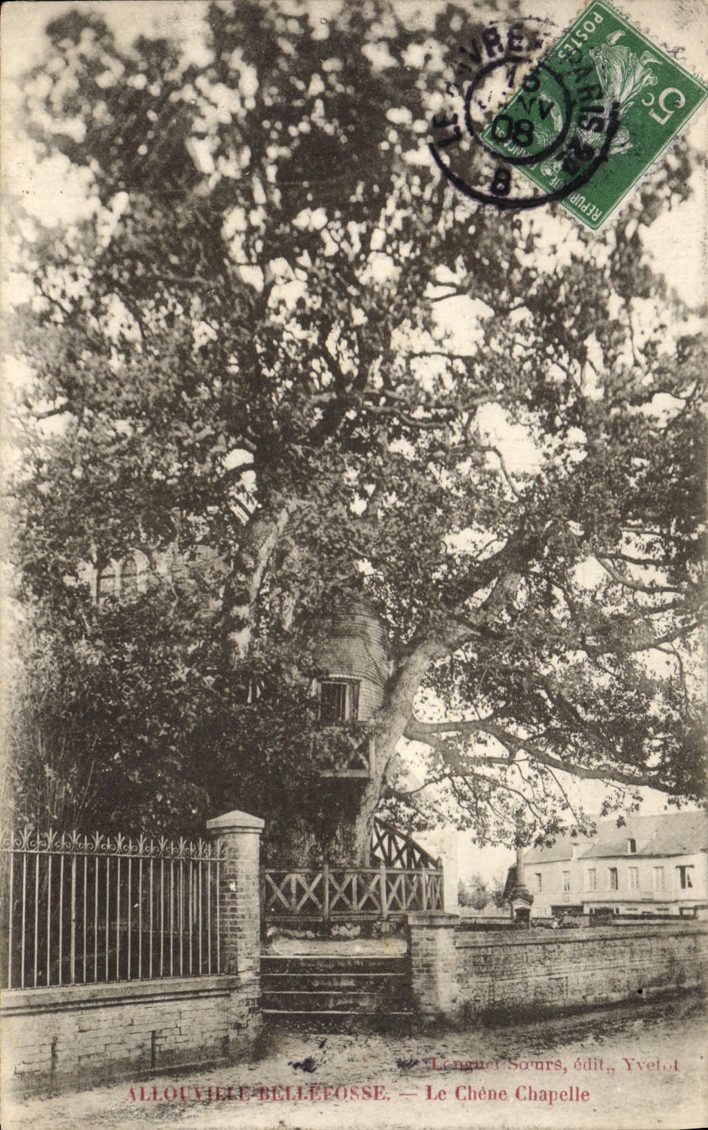 CPA Arbre Allouville Bellefosse Le chene chapelle