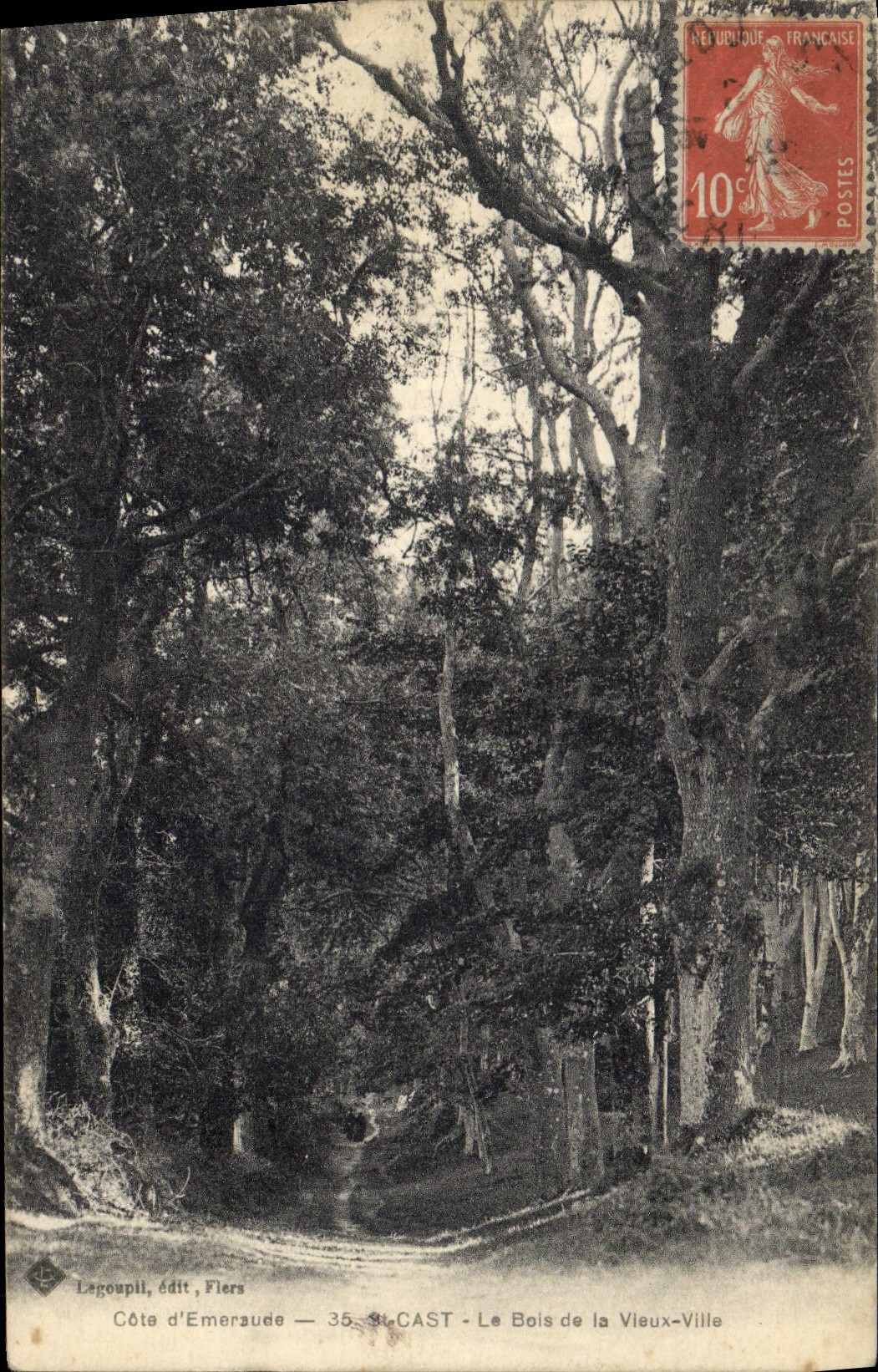 CPA Arbre St Cast Le bois de la Vieux ville 