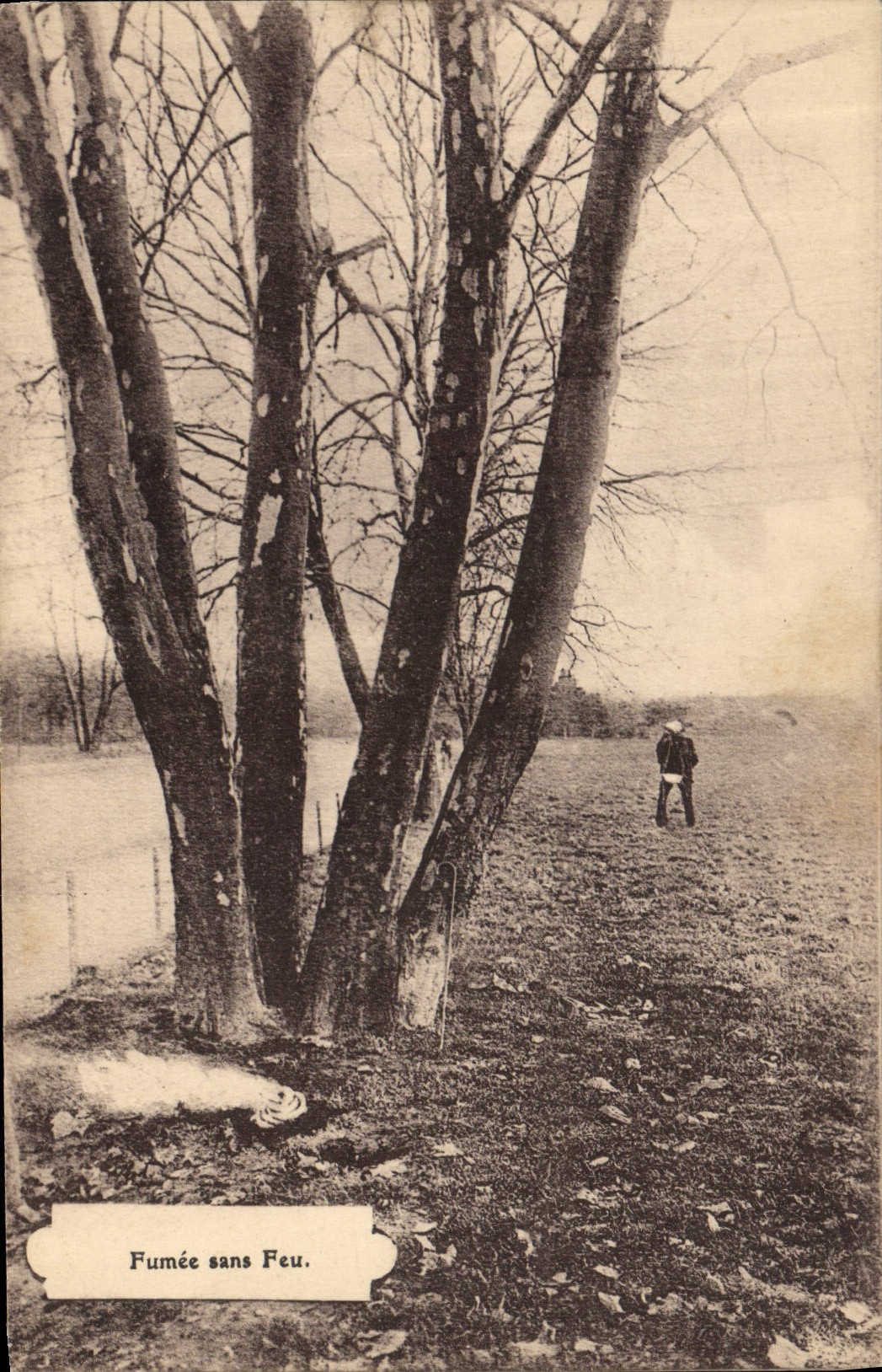 CPA Arbre Fumee sans feu