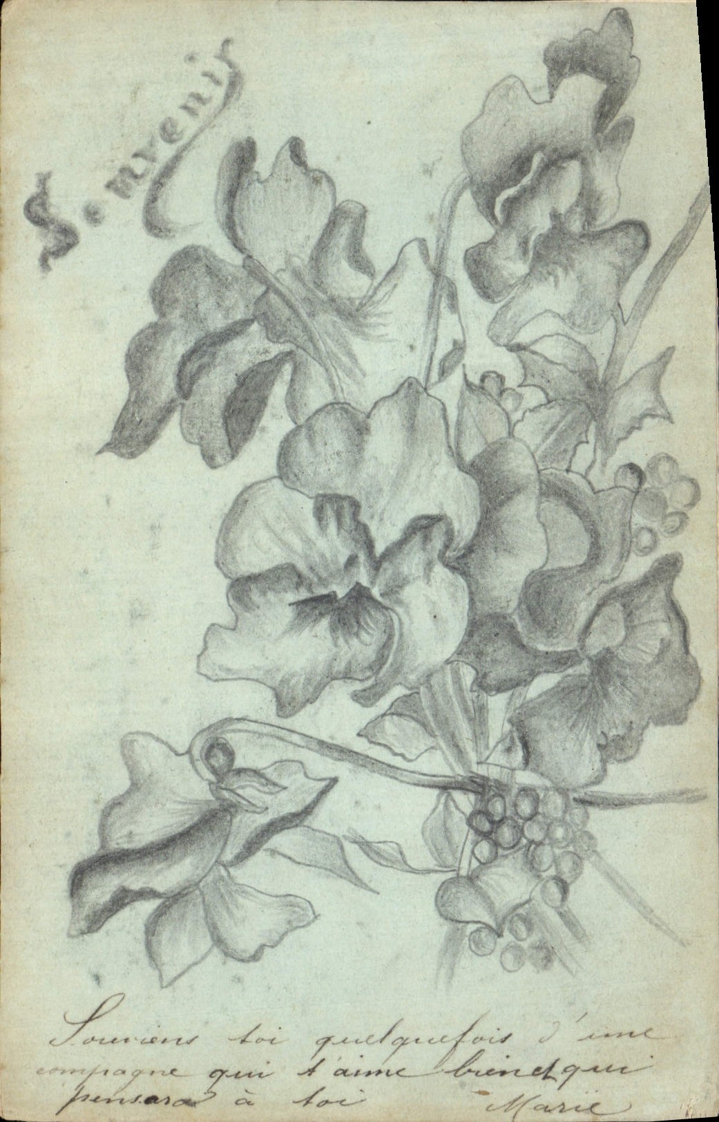 CPA Fantaisie Fleurs 