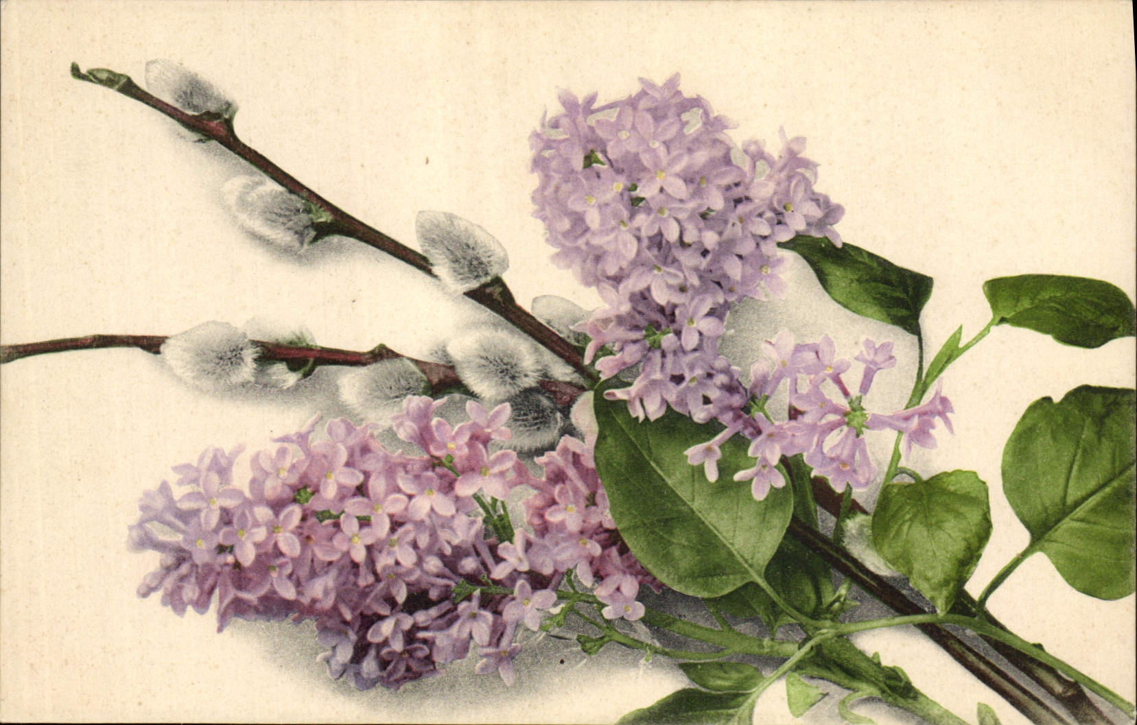 CPA Fantaisie Fleurs 