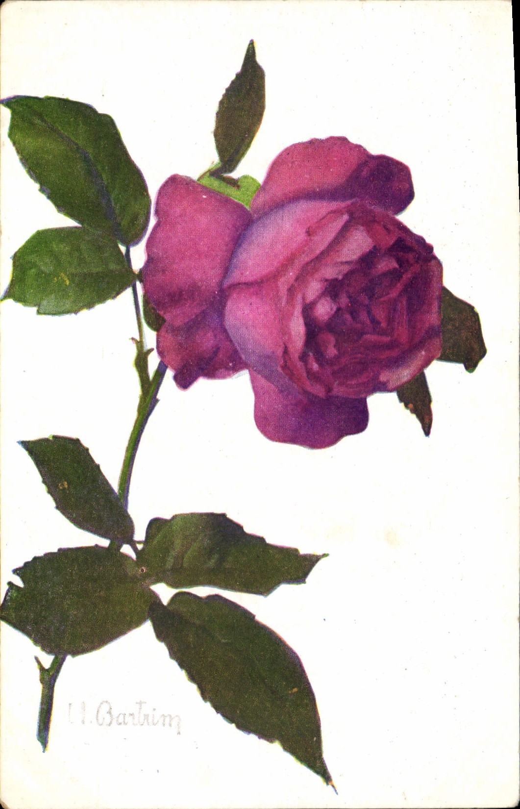 CPA Fantaisie Fleurs 