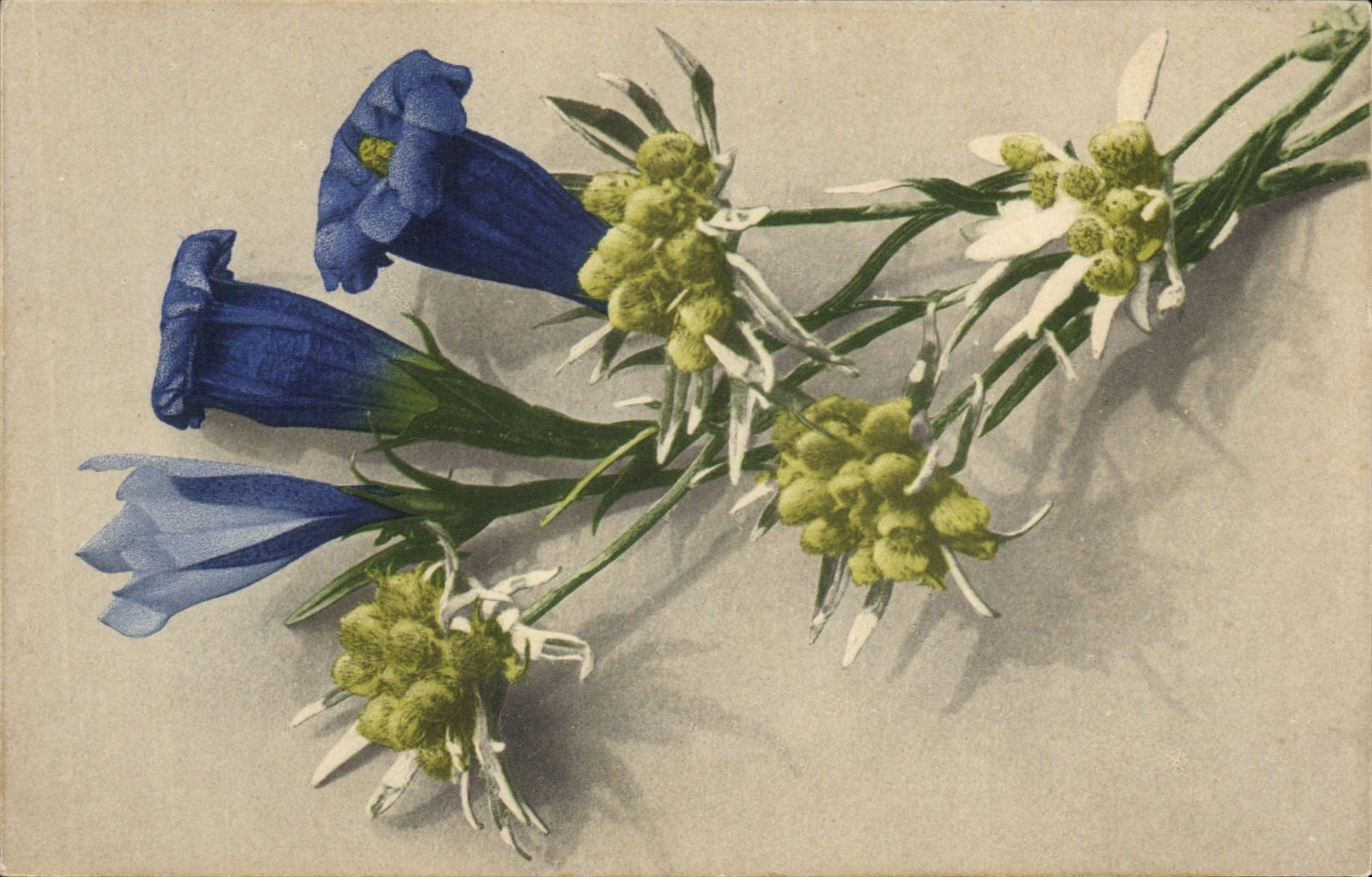 CPA Fantaisie Fleurs 