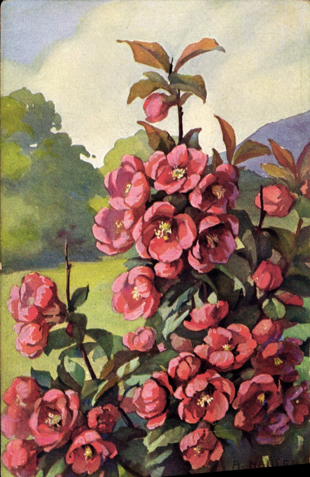 CPA Fantaisie Fleurs 