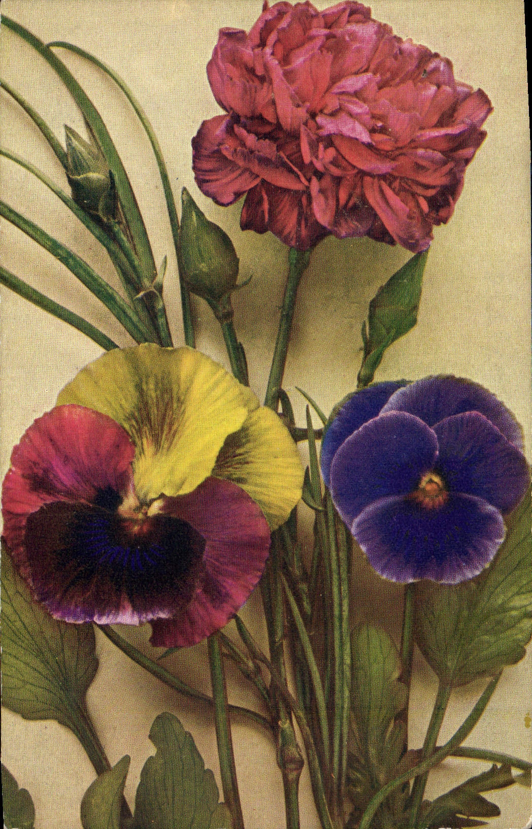 CPA Fantaisie Fleurs 