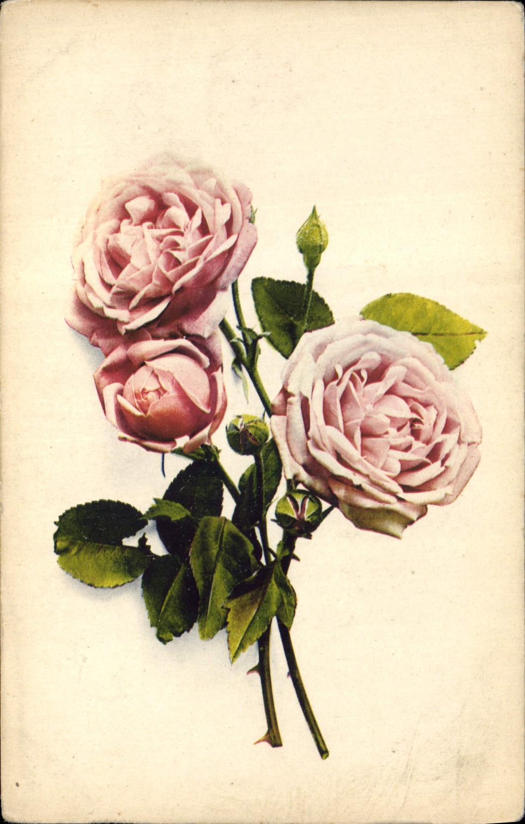 CPA Fantaisie Fleurs 