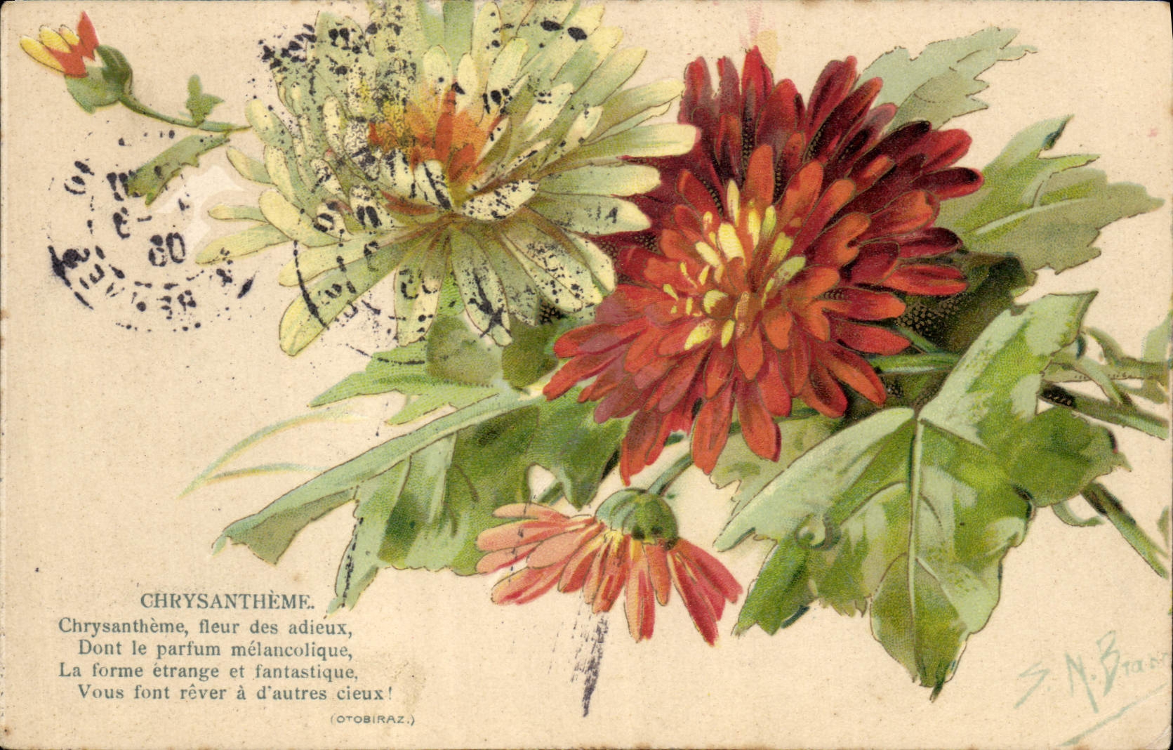 CPA Fantaisie Fleurs Chrysantheme