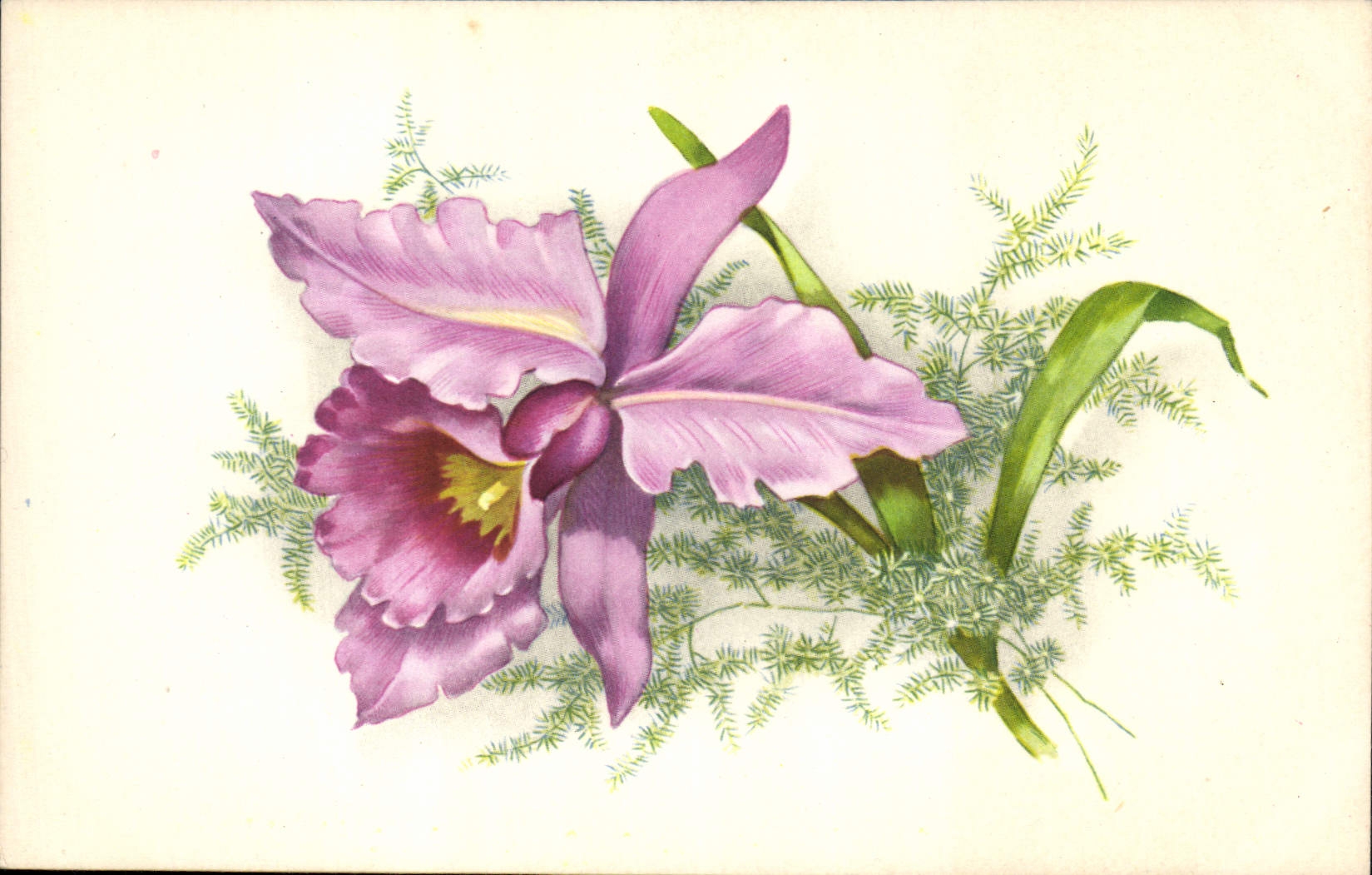 CPA Fantaisie Fleurs 