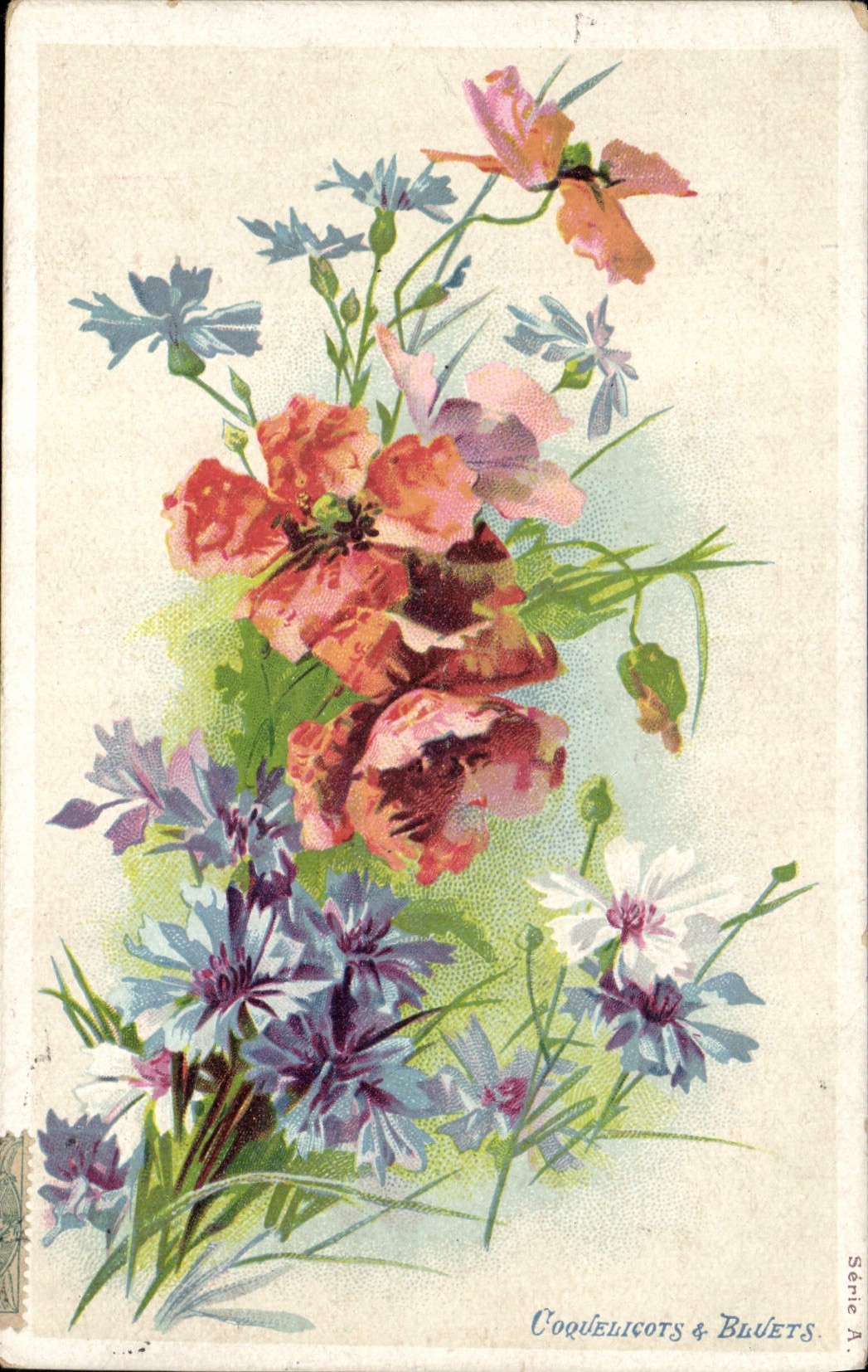 Postal Fantasia Flores Amapolas y Acianos