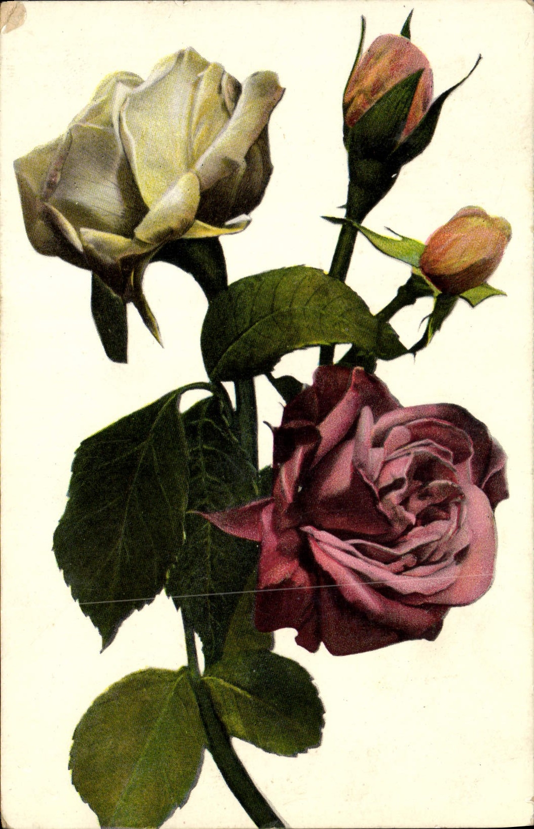 CPA Fantaisie Fleurs 