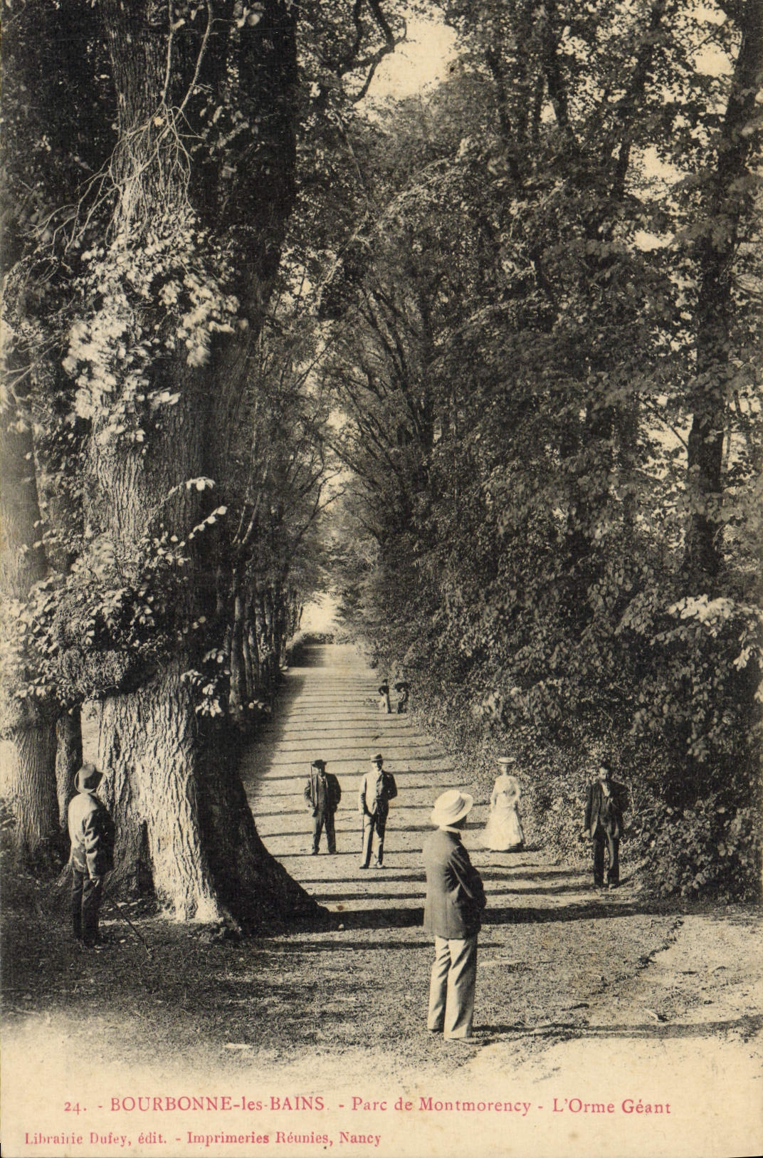 CPA Arbre Bourbonne les Bains Parc de Montmorency L'orme geant