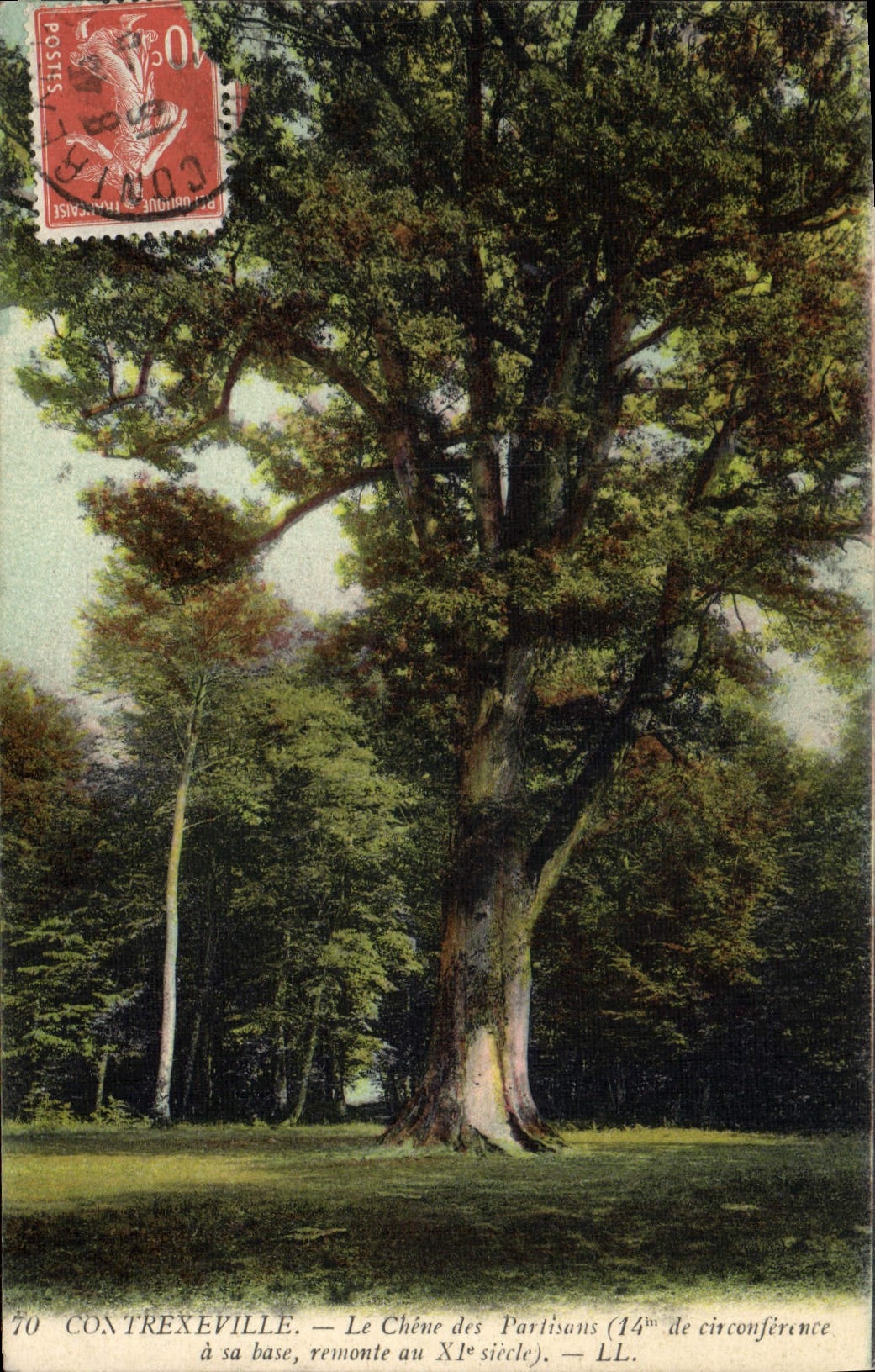 CPA Arbre Contrexeville Le chene des partisans