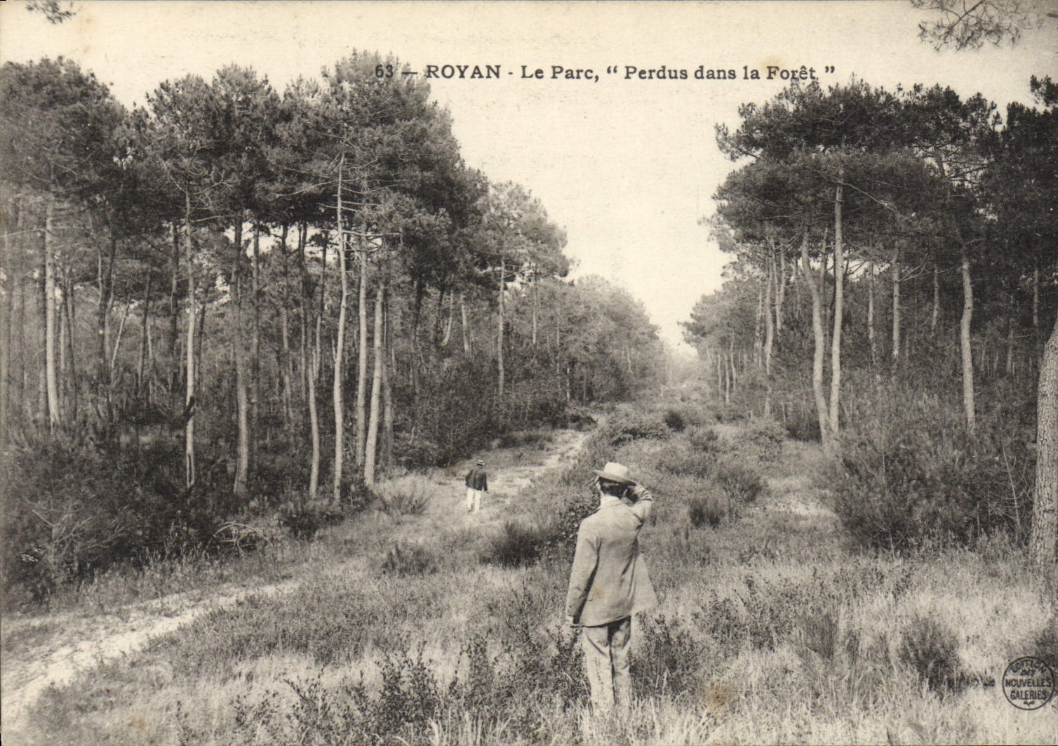CPA Arbre Royan Le parc Perdus dans la foret