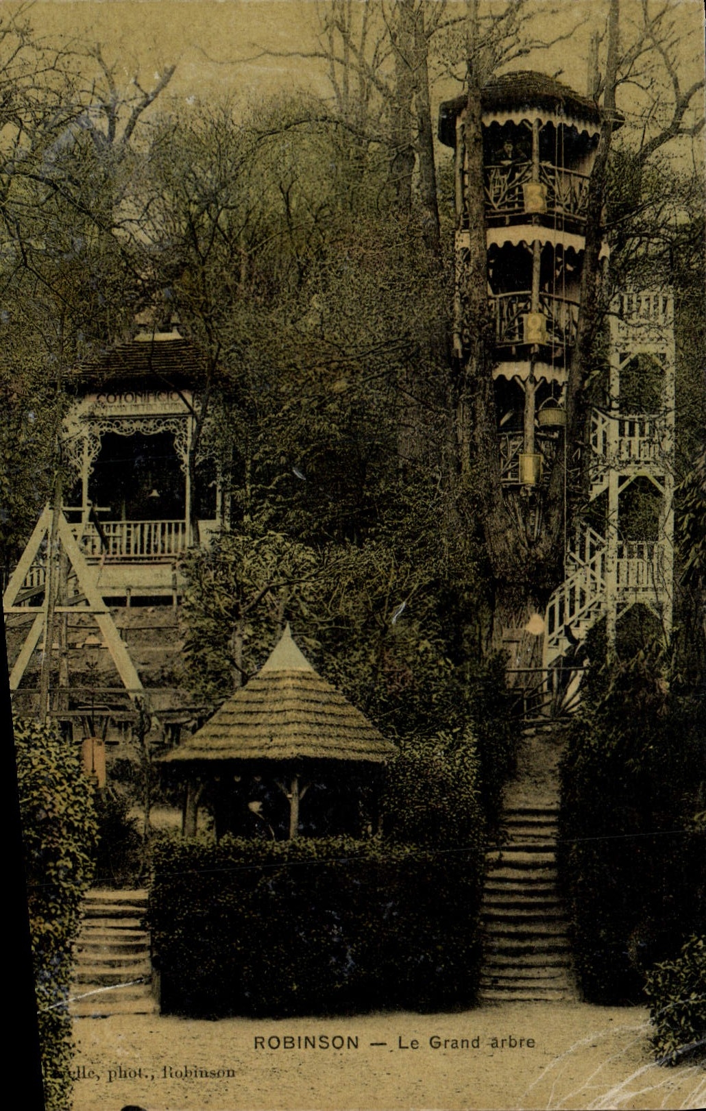 CPA Arbre Robinson Le grand arbre
