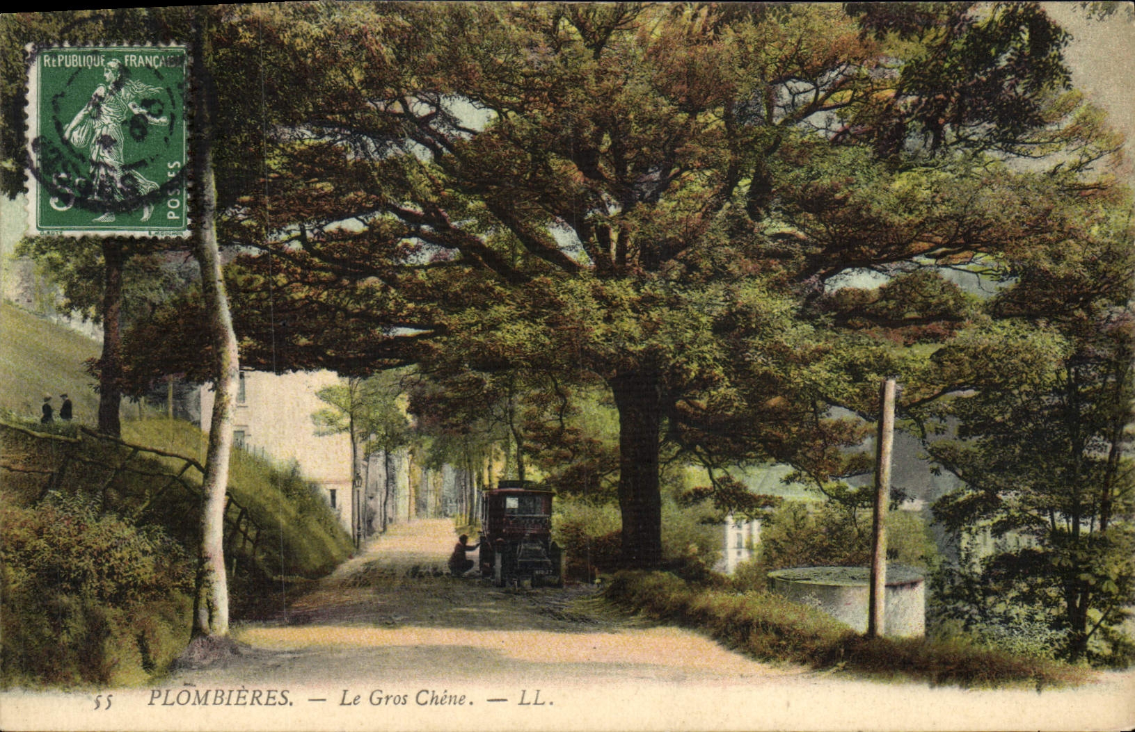 Vintage Postcard Tree Tutti-frutti the large Automobile oak