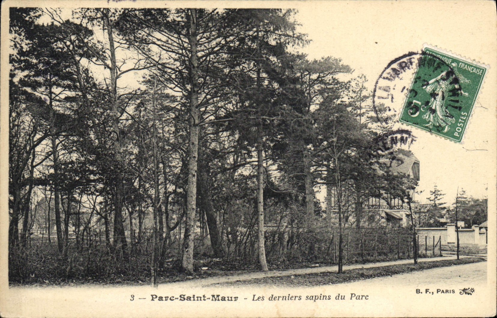 CPA Arbre Parc Saint Maur Les derniers sapins du parc